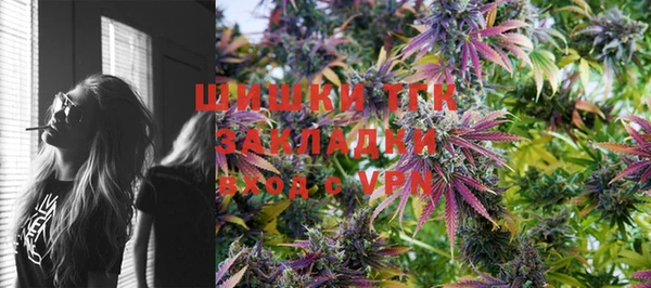 СК Аркадак