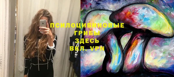 СК Аркадак