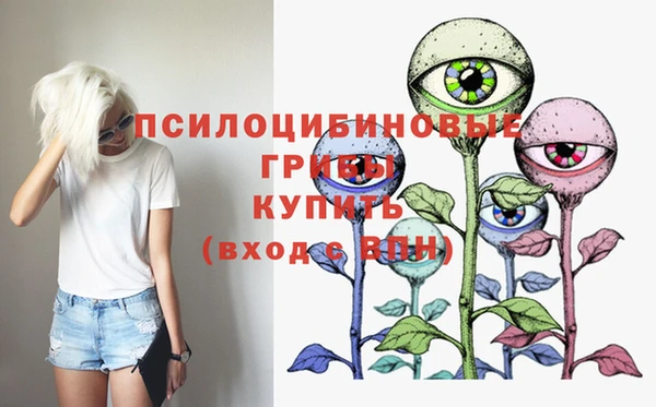 спиды Арсеньев