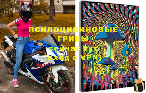 СК Аркадак