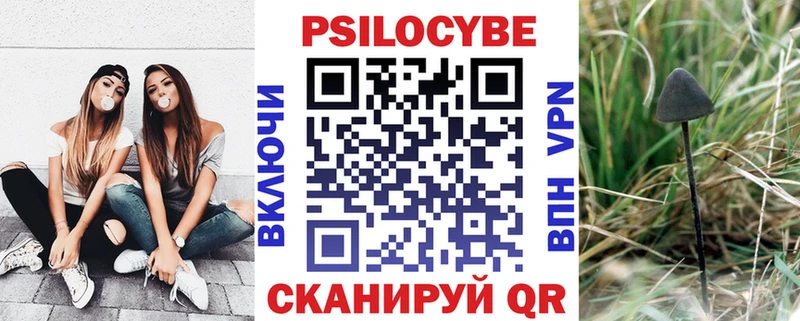 Псилоцибиновые грибы Magic Shrooms Тайга